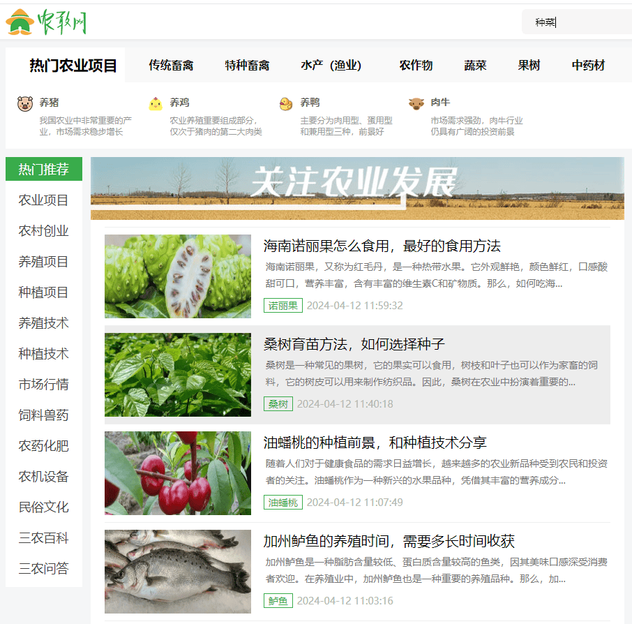 玉米涨顺拐，今日最新农敢网国内玉米价格