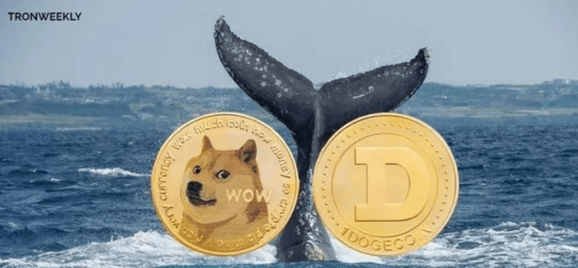 狗狗币看涨信号亮起，市场预测大幅上涨至1.69美元！