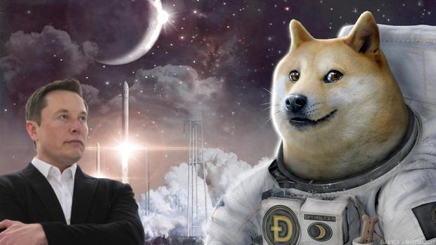 狗狗币一年涨幅400倍，狗狗币暴涨的原因是什么？