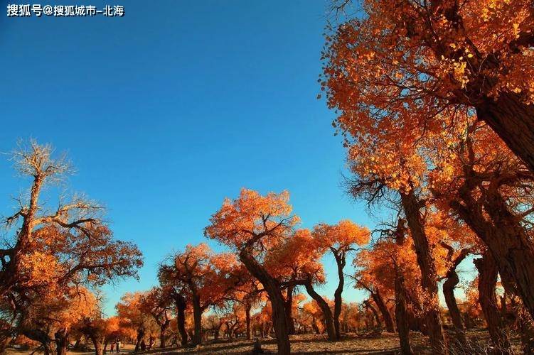 呼伦贝尔五天四晚需要多少钱？呼伦贝尔五日游多少钱人民币