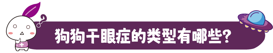 狗狗干眼症只是“没眼泪”？不重视甚至会有失明风险！