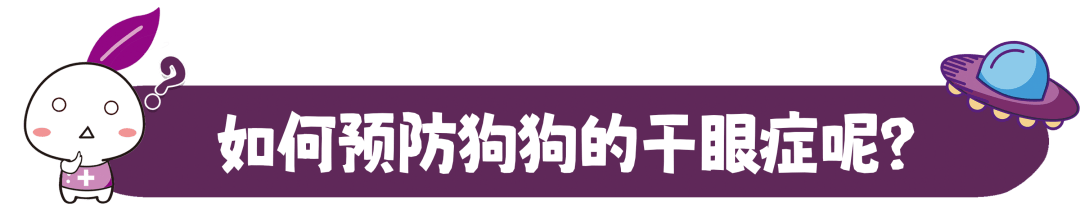 狗狗干眼症只是“没眼泪”？不重视甚至会有失明风险！