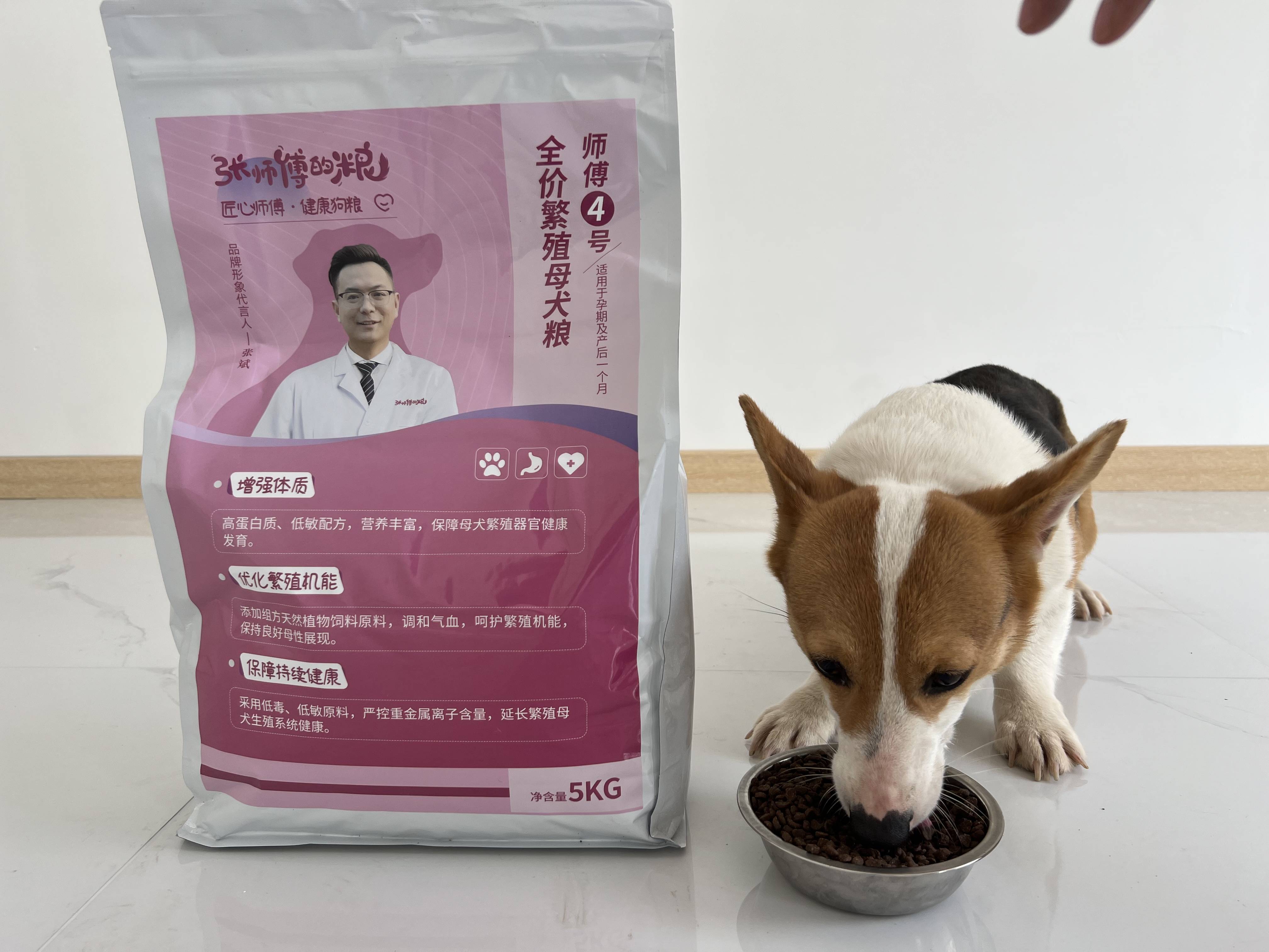 北方物宠物服务—狗狗不吃东西是什么原因？