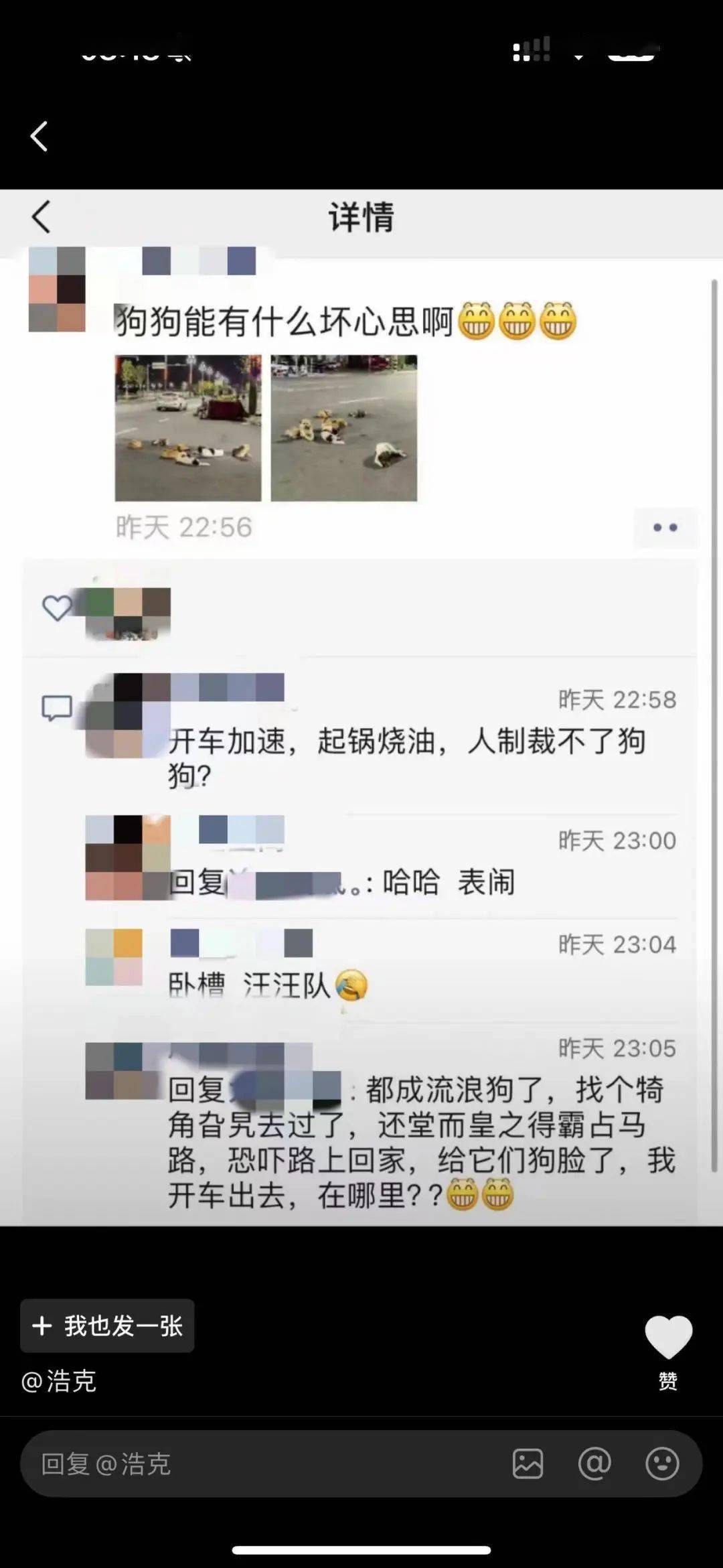 一群无辜狗狗遭车辆撞击，呼吁社会关注动物保护！