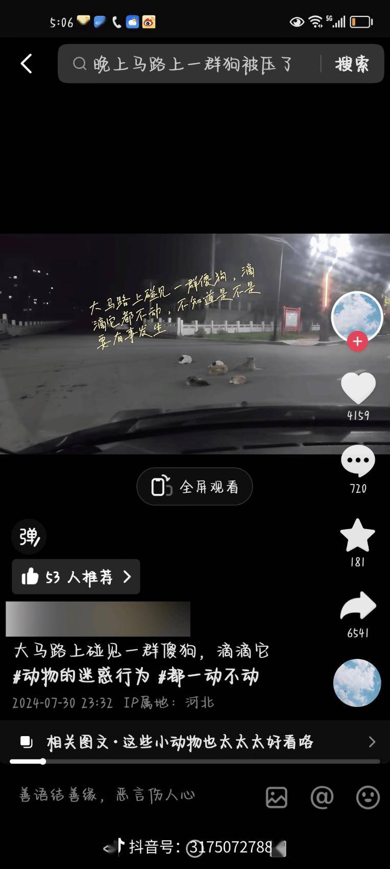 一群无辜狗狗遭车辆撞击，呼吁社会关注动物保护！