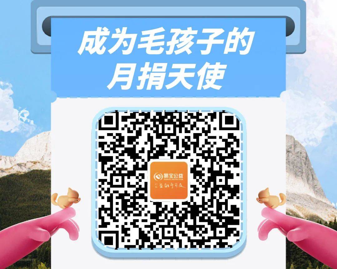 一群无辜狗狗遭车辆撞击，呼吁社会关注动物保护！