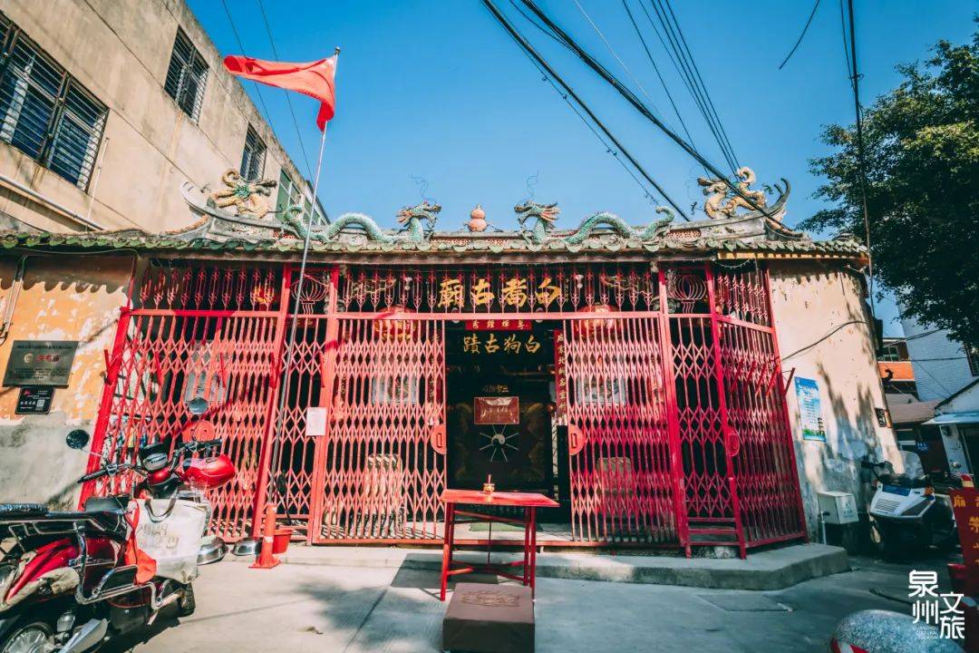 遍布泉州的“狗狗神”，你知道它们在哪吗？