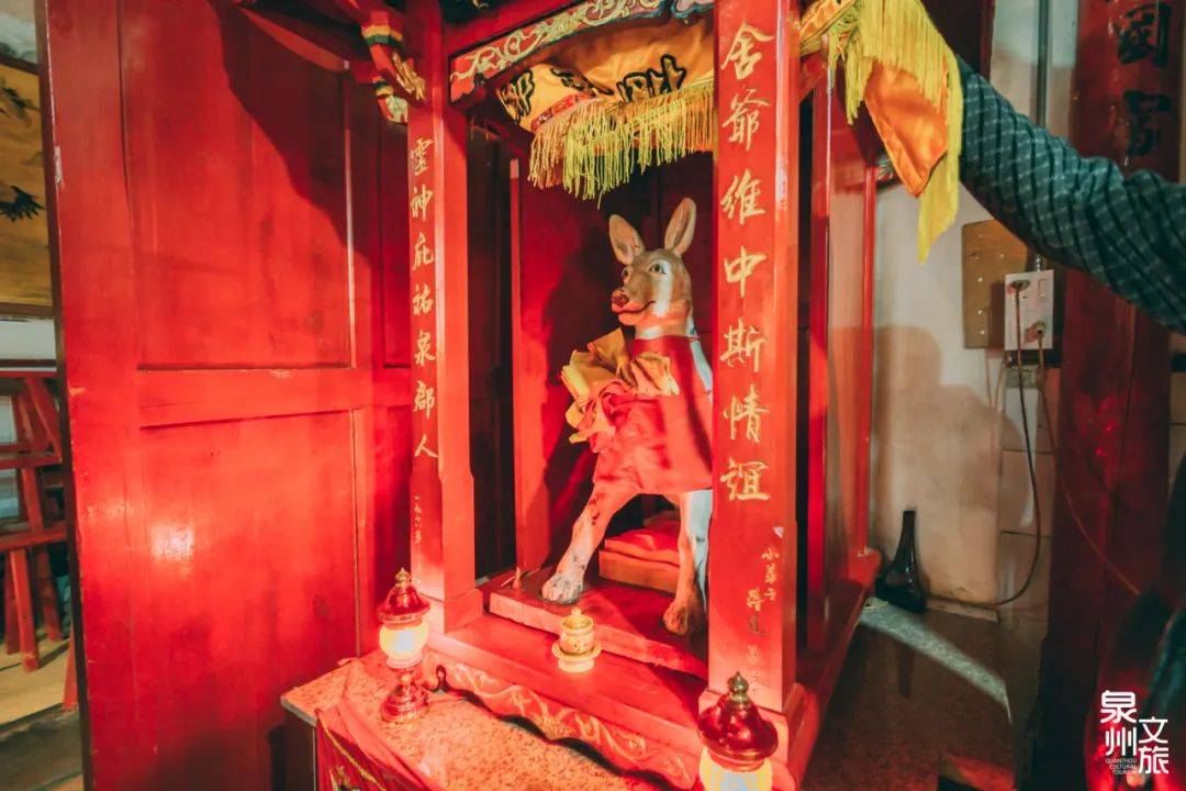 遍布泉州的“狗狗神”，你知道它们在哪吗？