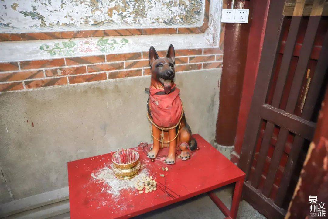 遍布泉州的“狗狗神”，你知道它们在哪吗？