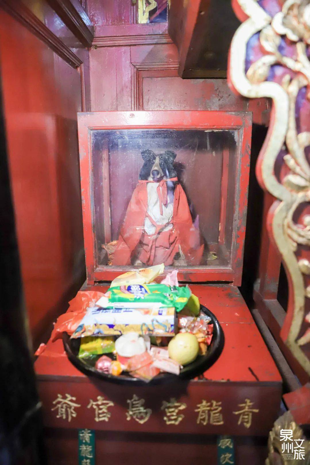 遍布泉州的“狗狗神”，你知道它们在哪吗？