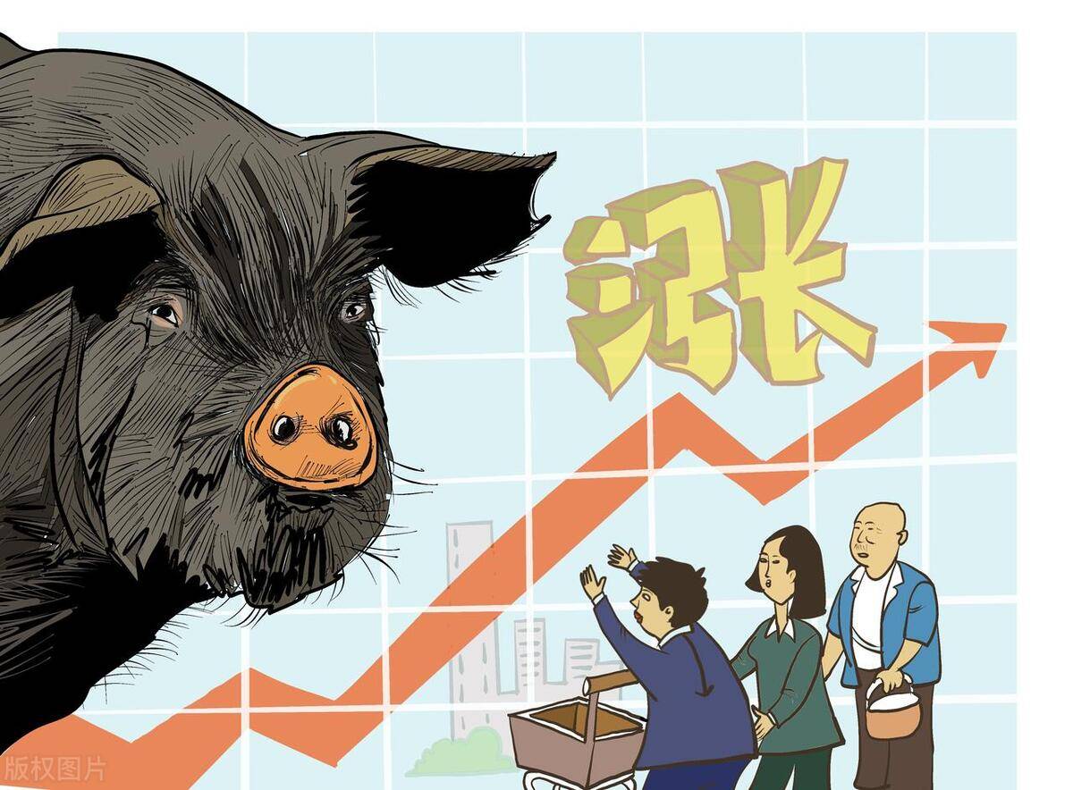 涨着涨着突然就涨不动了，猪价到底卡哪儿了？后续还能涨吗