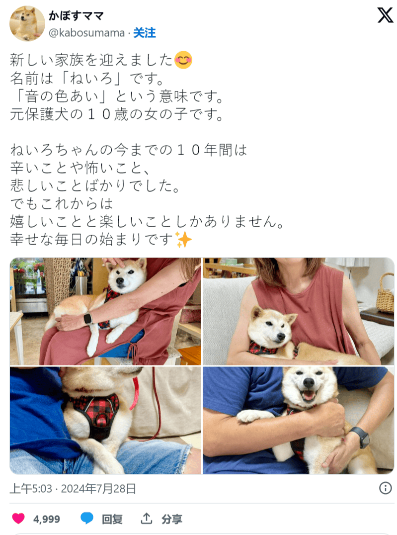 老川喊单不如狗？ Doge主人新养柴犬“Neiro”同名迷因币暴涨1250倍！