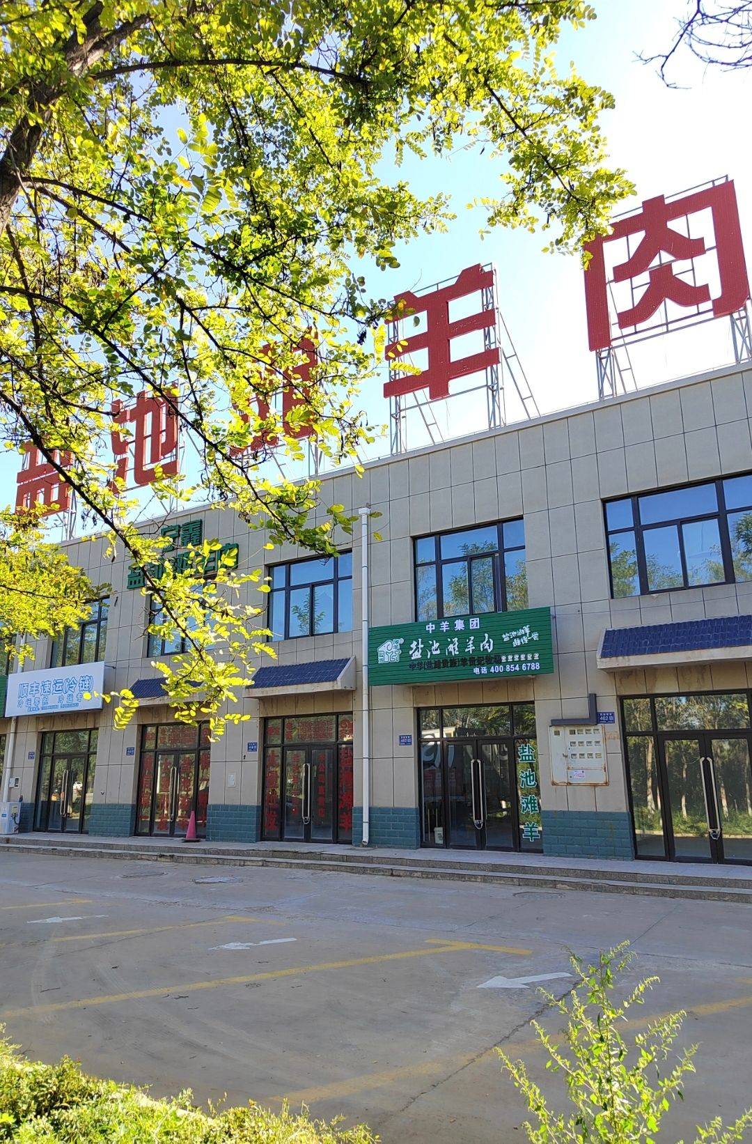 盐池在哪买盐池滩羊肉
