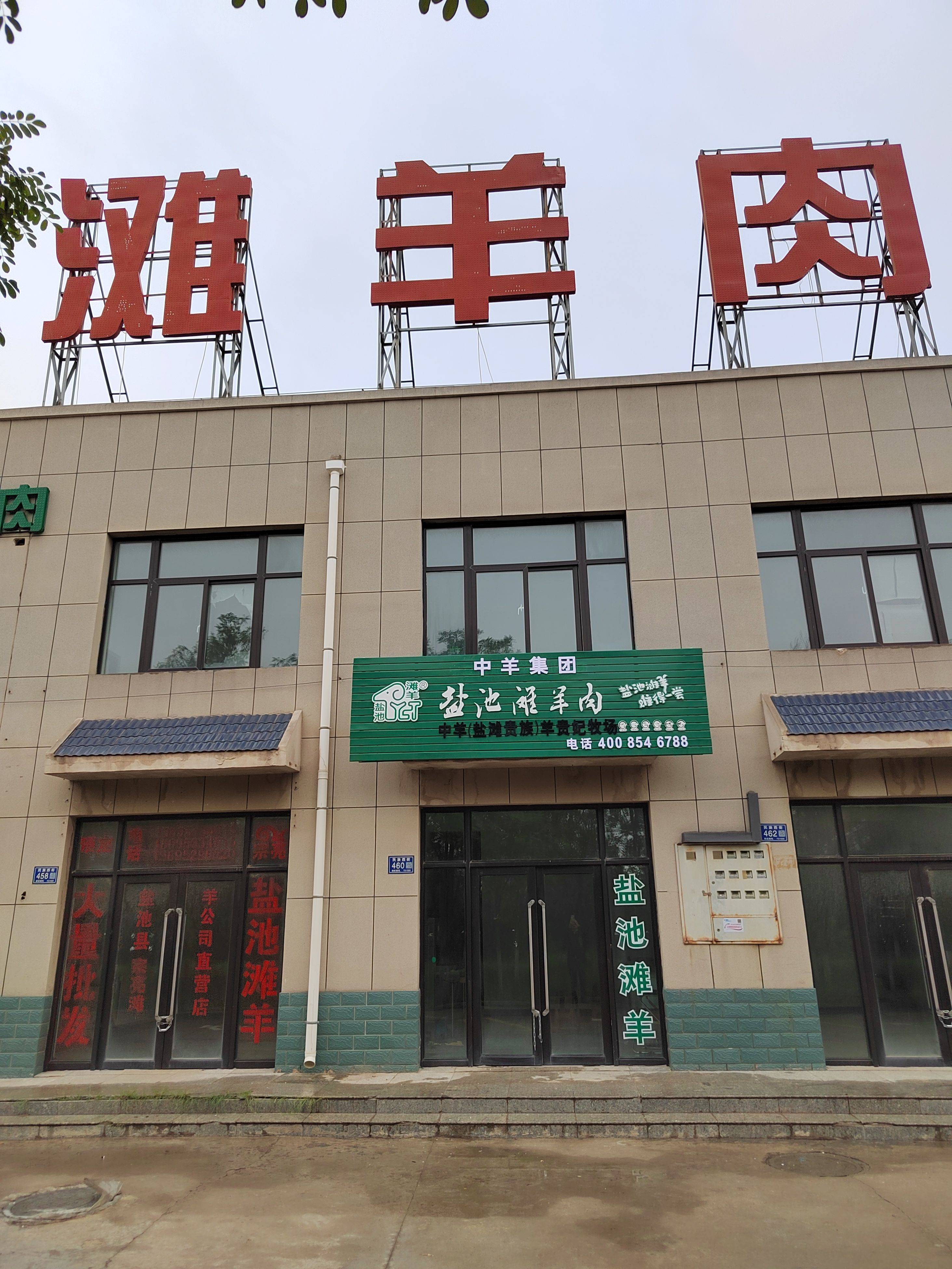 淄博在哪能买宁夏盐池滩羊