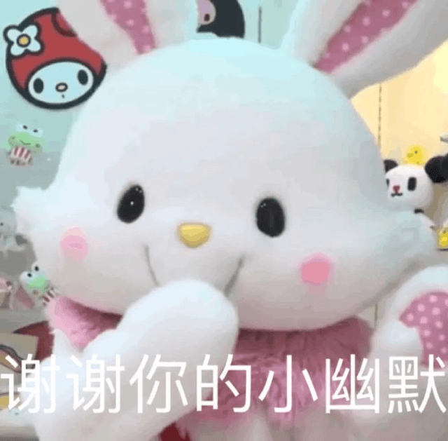 笑话十条：同事姐姐给自己家狗狗在淘宝上买了袜子