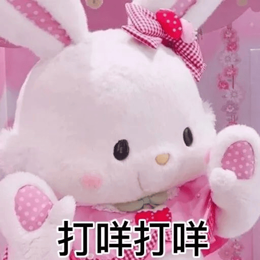 笑话十条：同事姐姐给自己家狗狗在淘宝上买了袜子